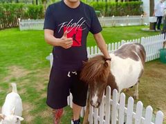 -太阳岛度假酒店