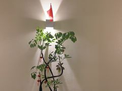 -涟LIAN·泰式按摩·MASSAGE·SPA(深业上城店)