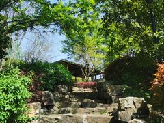 -宝界山林公园