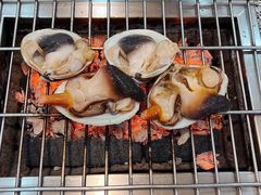 -震海贝烤贝·民俗特色店(延吉总店)