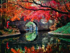 -上海共青森林公园