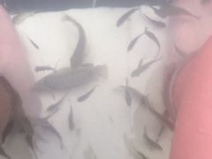 -海兰云天度假区温泉