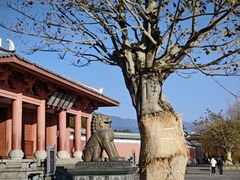 -崇圣寺三塔文化旅游区