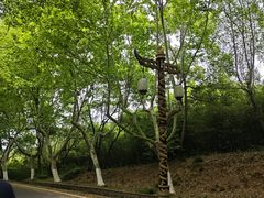 -宜兴龙背山森林公园