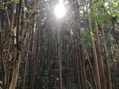 -黄陂区野村谷景区