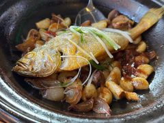 八分钟砂锅焗黄鱼-有喜胶东小馆(太申祥和店)