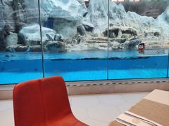 -帝企鹅自助餐厅•儿童岛•真企鹅(长隆企鹅酒店)