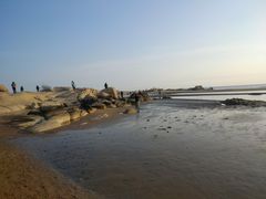 -老虎石海上公园