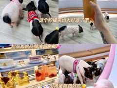 -猪盟咖啡店(玖洲道店)