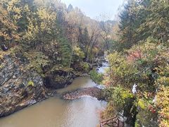-茅兰沟国家森林公园