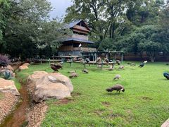 -昆明动物园