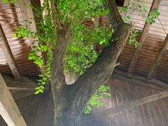 -盘龙城国家考古遗址公园