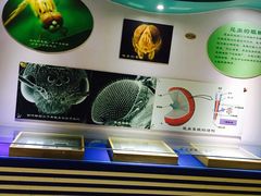 -上海昆虫博物馆