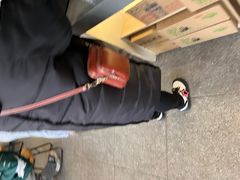 -鸡鸣汤包(红山动物园店)