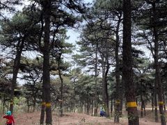 -北京西山国家森林公园