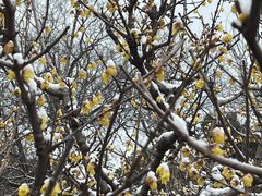 -玄武湖景区-情侣园游乐场