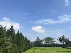 -汉长安城未央宫国家考古遗址公园