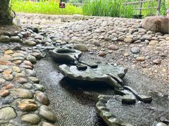 -成都市活水公园