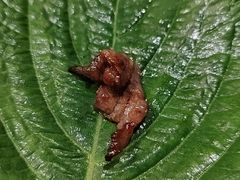 -韩盛·盛江山自助料理(奥体万达店)