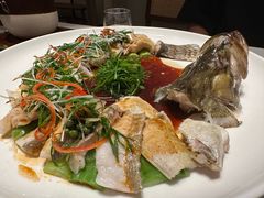 豉油皇鲜花椒蒸桂鱼-觅唐MITONG(鸟巢店)