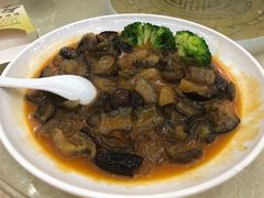红烧海参-新金盛·海鲜酒楼(盐田店)