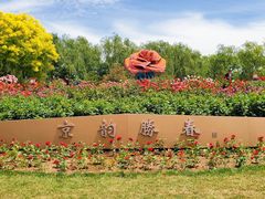 -大兴世界月季主题园