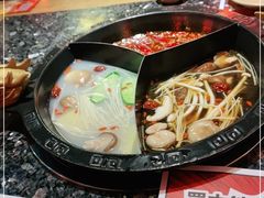 -蜀大侠火锅(森兰花园城店)