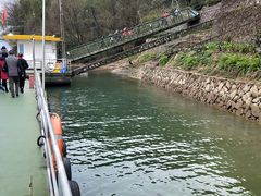 -桐君山春江扬帆码头