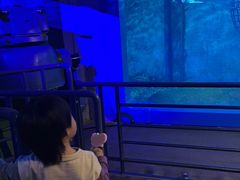 -大连圣亚海洋世界