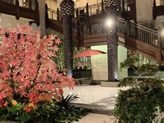 -太湖饭店玉兰厅(自助餐厅)