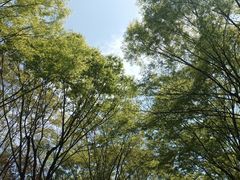 -院士公园