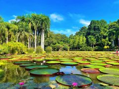 -中国科学院西双版纳热带植物园