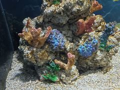 -广州海洋馆