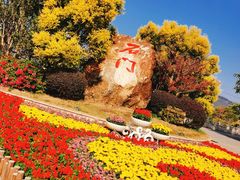 -广州市石门国家森林公园