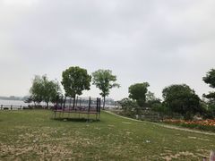 -鹅湖玫瑰文化园