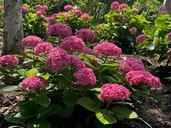 -常州古运河南大街文化旅游区-人民公园