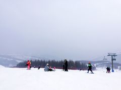 -多乐美地滑雪场
