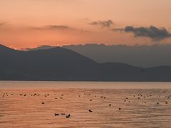 -大理洱海