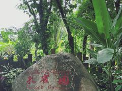 -西双版纳傣族园
