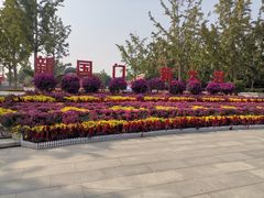 -大兴滨河森林公园