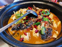 砂锅大头鱼-谢小厨(沈家店)