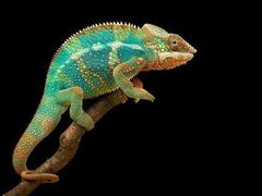 -多彩贵州城极地海洋世界