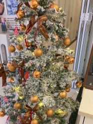 -香秀空间科技抗衰·美容中心