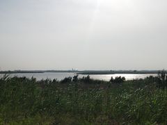 -盐城丹顶鹤湿地生态旅游区