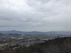 -岚山猴子公园