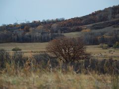 -塞罕坝国家级自然保护区