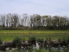 -广富林郊野公园