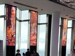 -平安金融中心云际观光层
