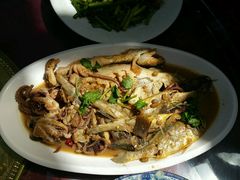 -长岛渔家乐仙居阁