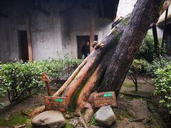 -乌镇东栅景区-江南百床馆